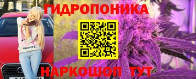 PSILOCYBIN Обнинск