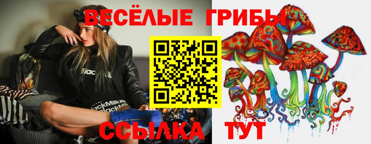 Галлюциногенные грибы мицелий Рузаевка